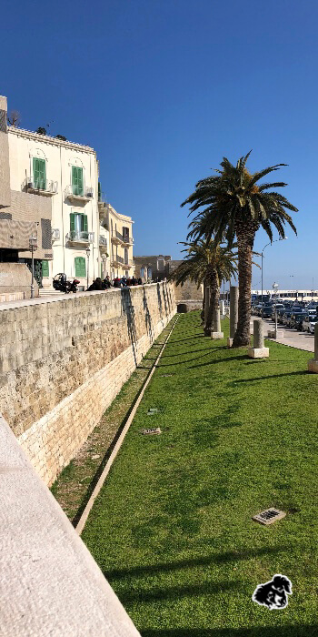 Bari, città metropolitana affascinante • uncanperdue