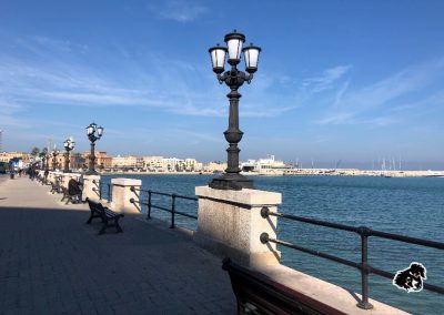 Bari, una città metropolitana che sprigiona fascino.