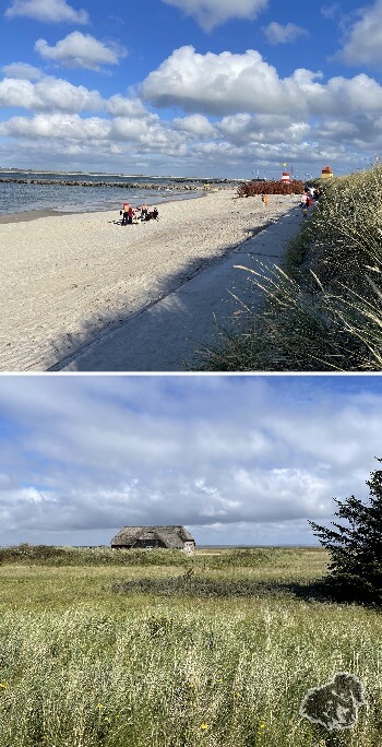 Le sculture di sabbia 2023 a Søndervig • 15ago • uncanperdue
