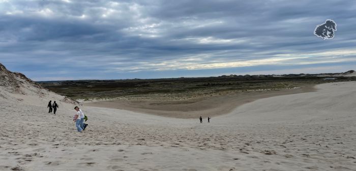 dune mobile di sabbia