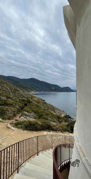 Saint Florent in Corsica - 29 dic • uncanperdue