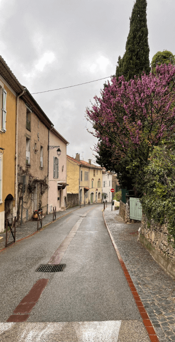 Grasse e le sue vibranti essenze • Mar24 • uncanperdue