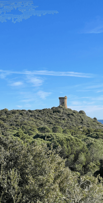 Straordinario Viaggio in Van Corsica • 04gen • uncanperdue